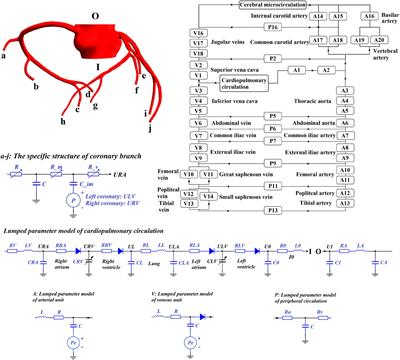 A Numerical Model for Simulating the Hemodynamic Effects of Enhanced External Counterpulsation on Coronary Arteries